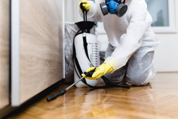 Trusted Whitewater, CA Pest Control Experts