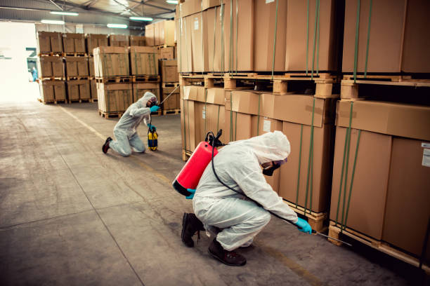 Best Wasp Removal Services  in Whitewater, CA