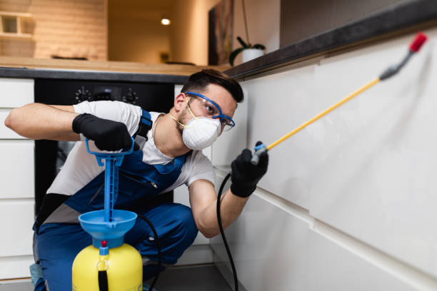Best Termite Control Services  in Whitewater, CA
