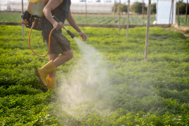 Best Mosquito Control Services  in Whitewater, CA