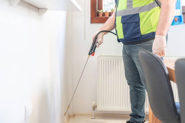 Best Emergency Pest Control  in Whitewater, CA