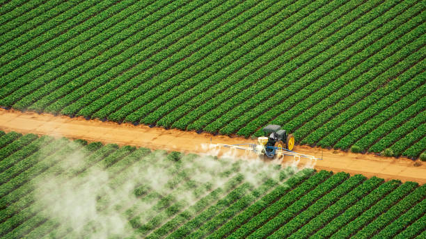 Best Local Pest Control Services  in Whitewater, CA