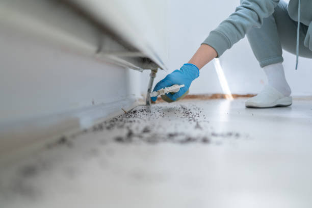 Best Pest Removal Services  in Whitewater, CA