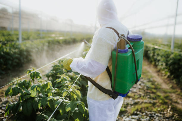 Best Commercial Pest Control Services  in Whitewater, CA